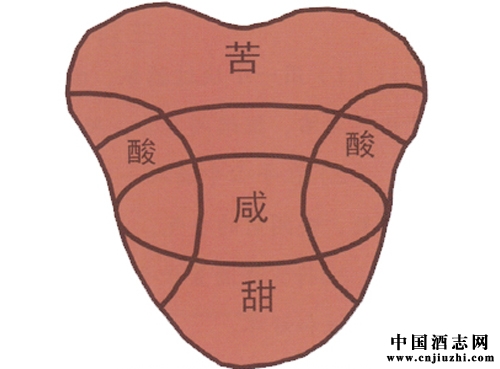 �׾Ƶ�ζ���c���^��ʲô�Pϵ