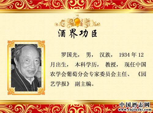 �_����_ᄾƹ���