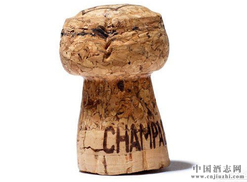 ��ʲô�㙉��ľ�����ǡ�Ģ���^����