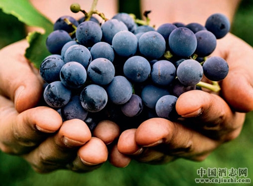 ���m�����E